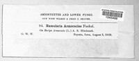 Image Associated With the Occurence